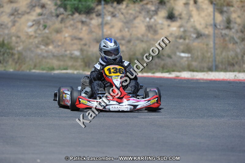 DSC (307).JPG